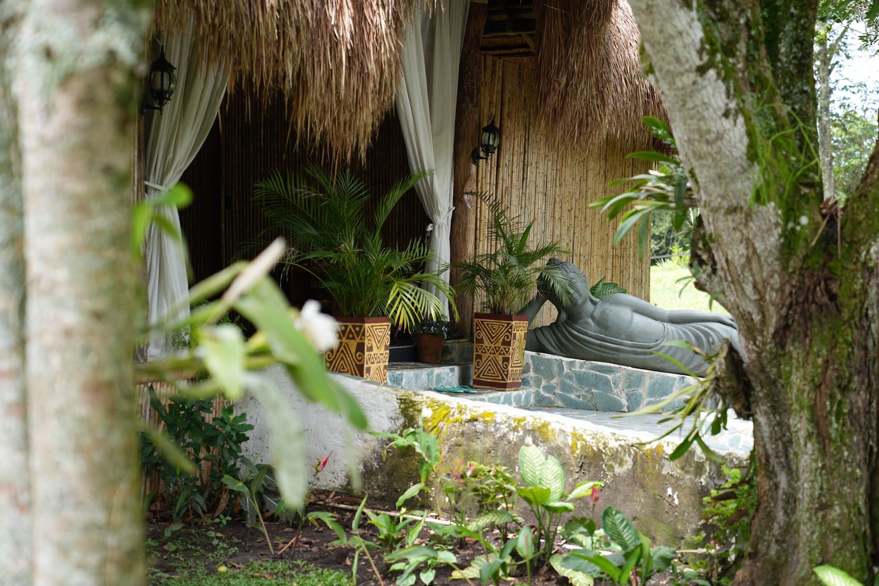 Jardín con Buda